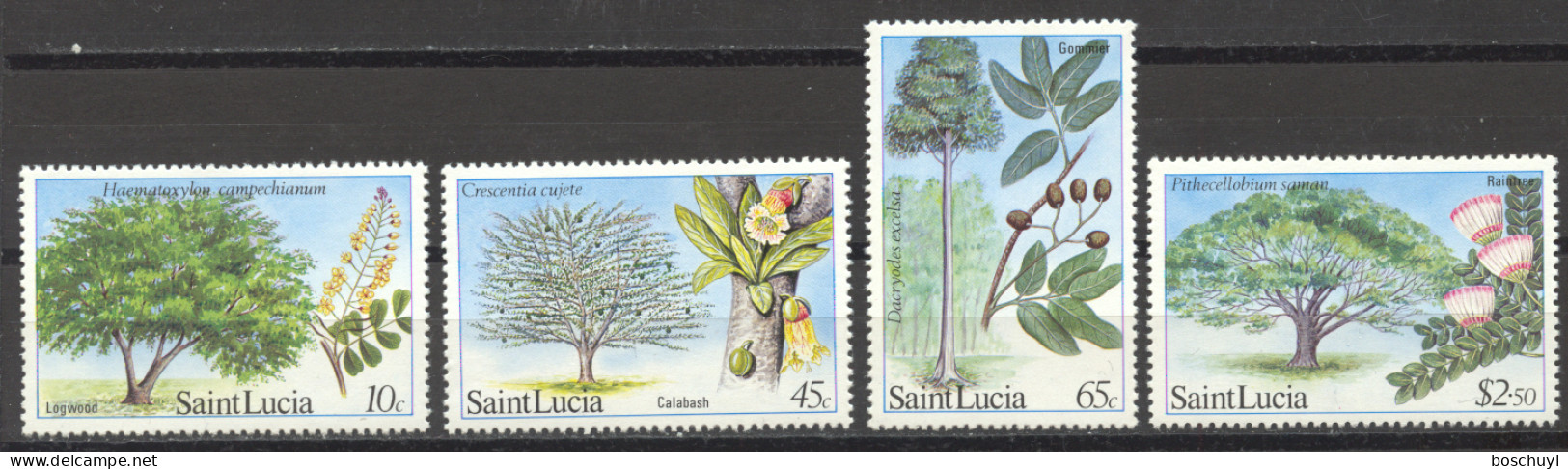 St Lucia, 1984, Trees, Seeds, Nature, MNH, Michel 648-651 - St.Lucia (1979-...)