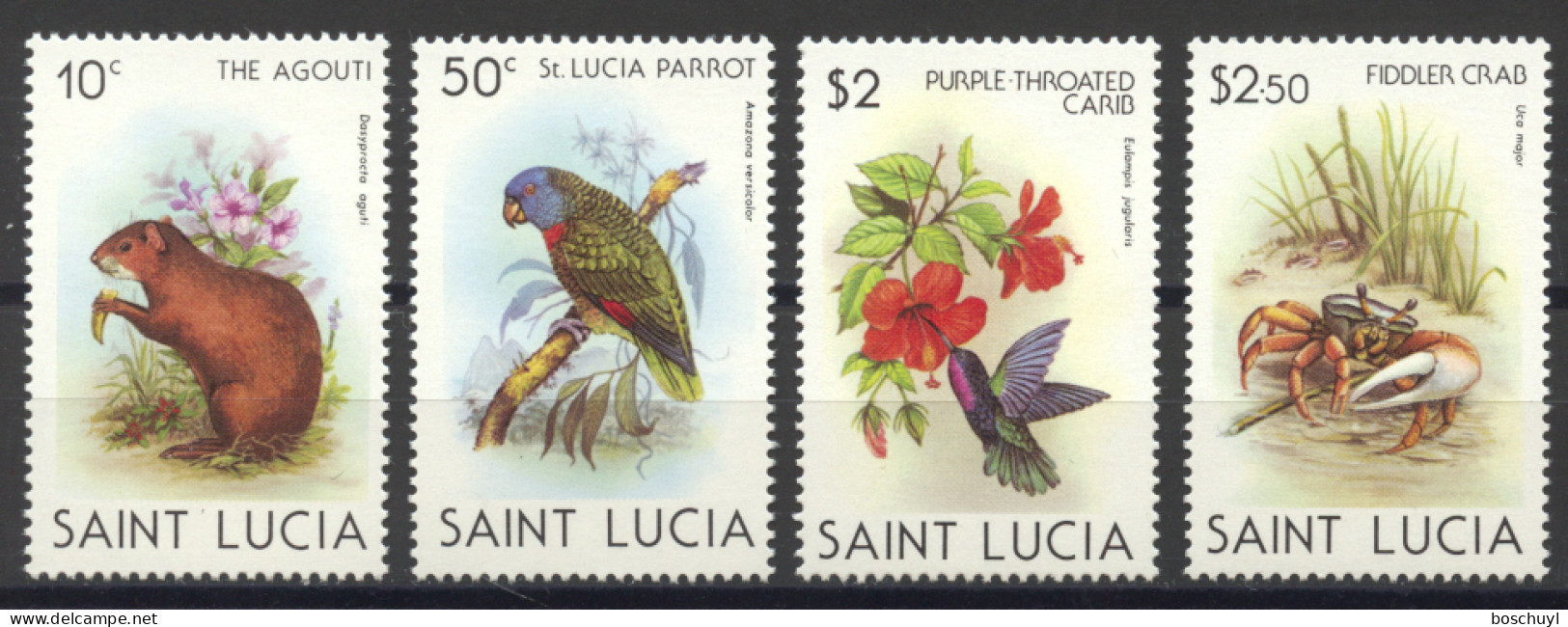 St Lucia, 1981, Animals, Flora, Fauna, Aguti, Parrot, Kolibri, Crab, Birds, MNH, Michel 524-527 - St.Lucia (1979-...)