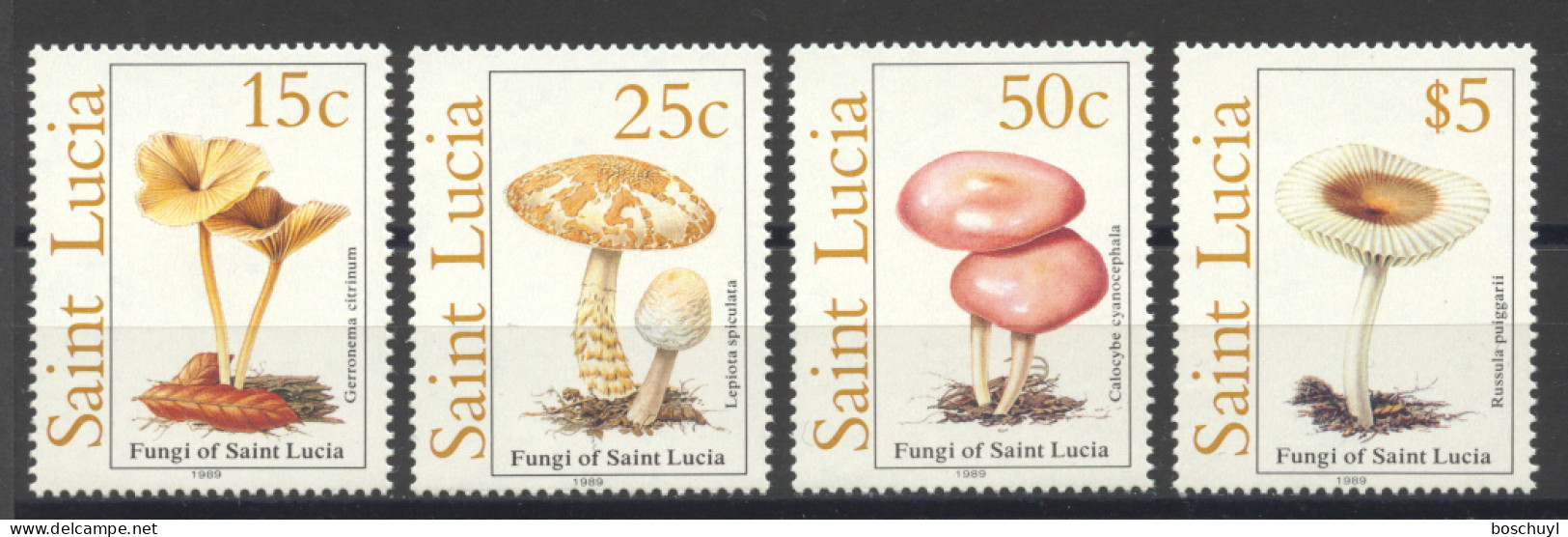 St Lucia, 1989, Mushrooms, Nature, MNH, Michel 948-951 - St.Lucia (1979-...)