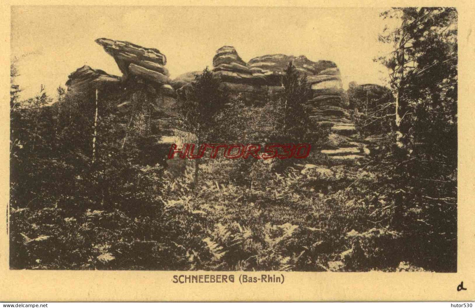 CPA SCHNEEBERG - BAS RHIN - Schneeberg