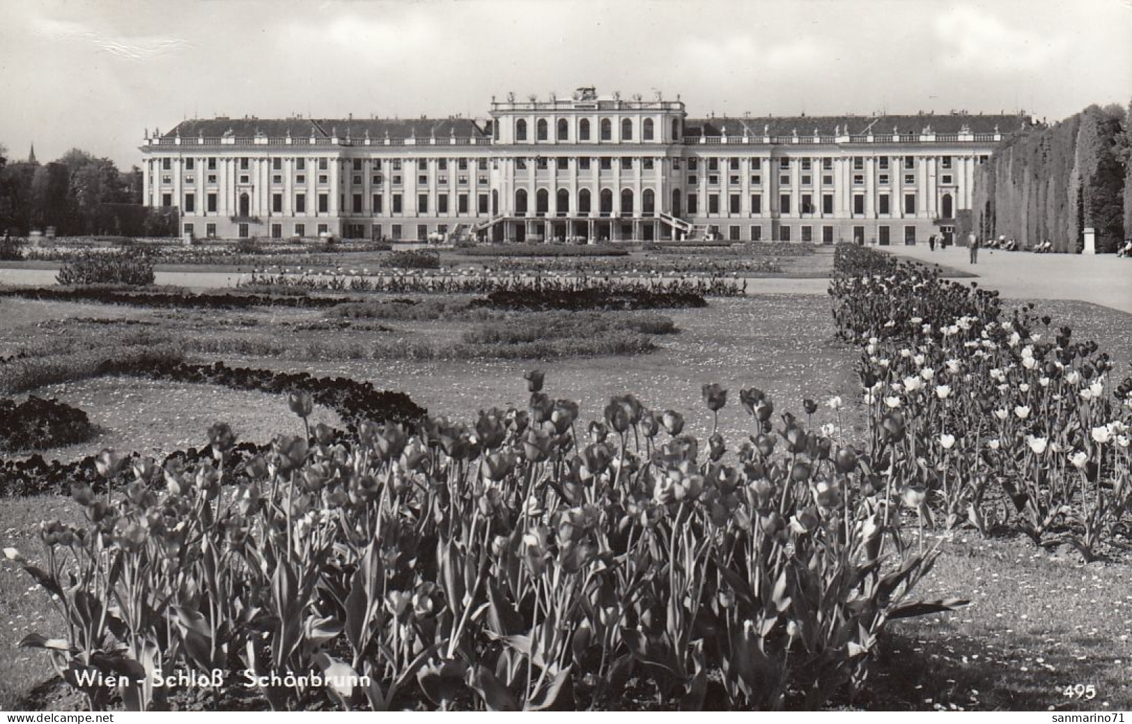 POSTCARD 3157,Austria,Vienna - Château De Schönbrunn
