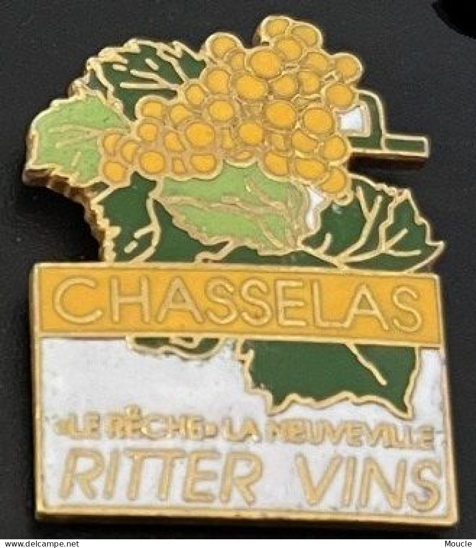 CHASSELAS - RAISINS - GRAPPE - RITTER VINS - WINE - FEUILLE - EGF - LE RÊCHE - LA NEUVILLE - NEUCHÂTEL - SUISSE  - (29) - Beverages