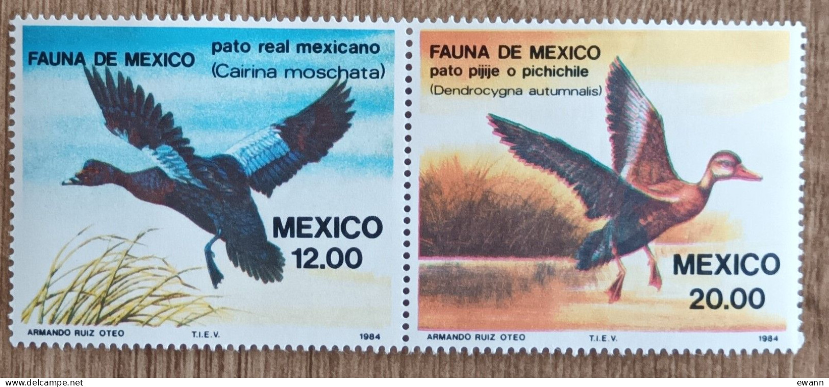 Mexique - YT N°1041, 1042 - Faune / Oiseaux Aquatiques - 1984 - Neuf - Mexiko