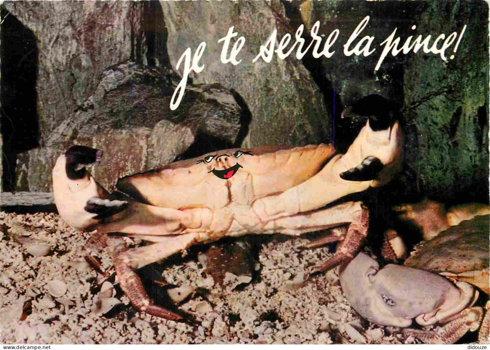 Animaux - Crabe - CPM - Voir Scans Recto-Verso - Fish & Shellfish