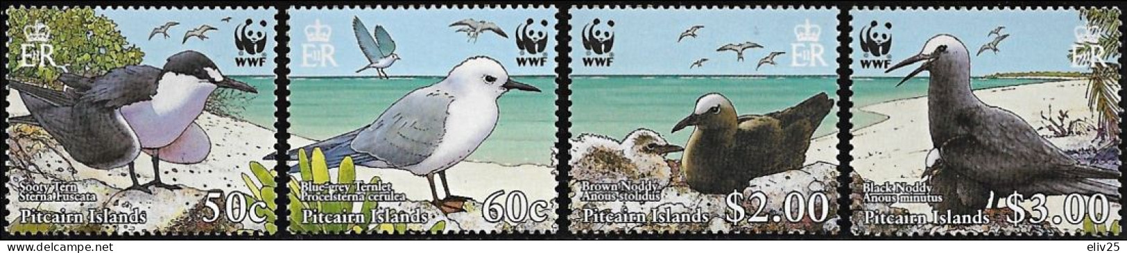 Pitcairn Islands 2007, WWF Birds Terns & Noddies - 4 V. MNH - Unused Stamps