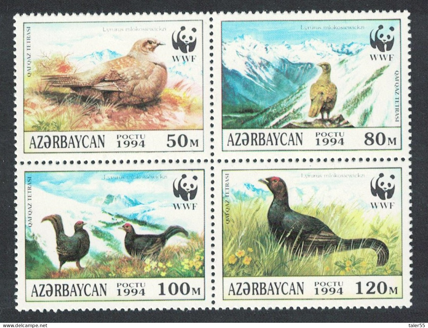 Azerbaijan Birds WWF Caucasian Black Grouse 4v Block Of 4 1994 MNH SG#178-181 MI#161-164 Sc#454 A-d - Azerbaïjan