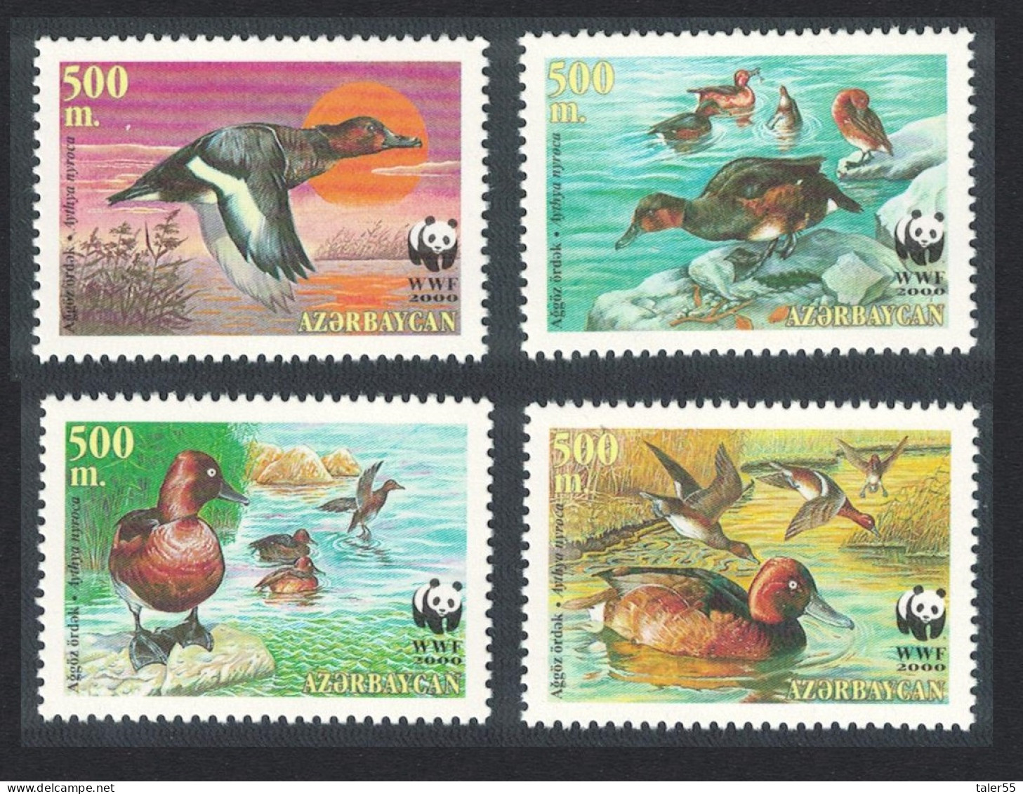 Azerbaijan WWF Birds Ferruginous Duck 4v 2000 MNH SG#480-483 MI#474-477 Sc#704 A-d - Aserbaidschan