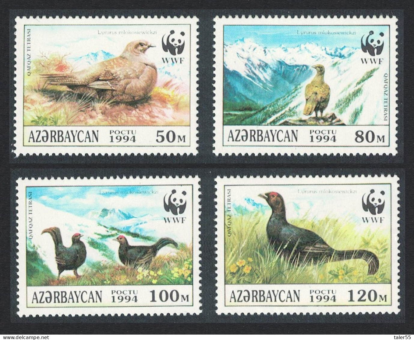 Azerbaijan WWF Birds Caucasian Black Grouse 4v 1994 MNH SG#178-181 MI#161-164 Sc#454 A-d - Azerbaïdjan