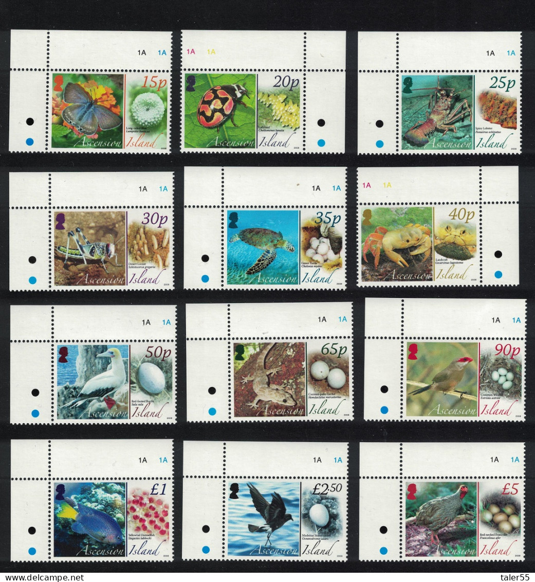 Ascension Birds Butterflies Fauna And Their Eggs 12v Corners 2007 MNH SG#987-998 MI#1021-1032 - Ascension