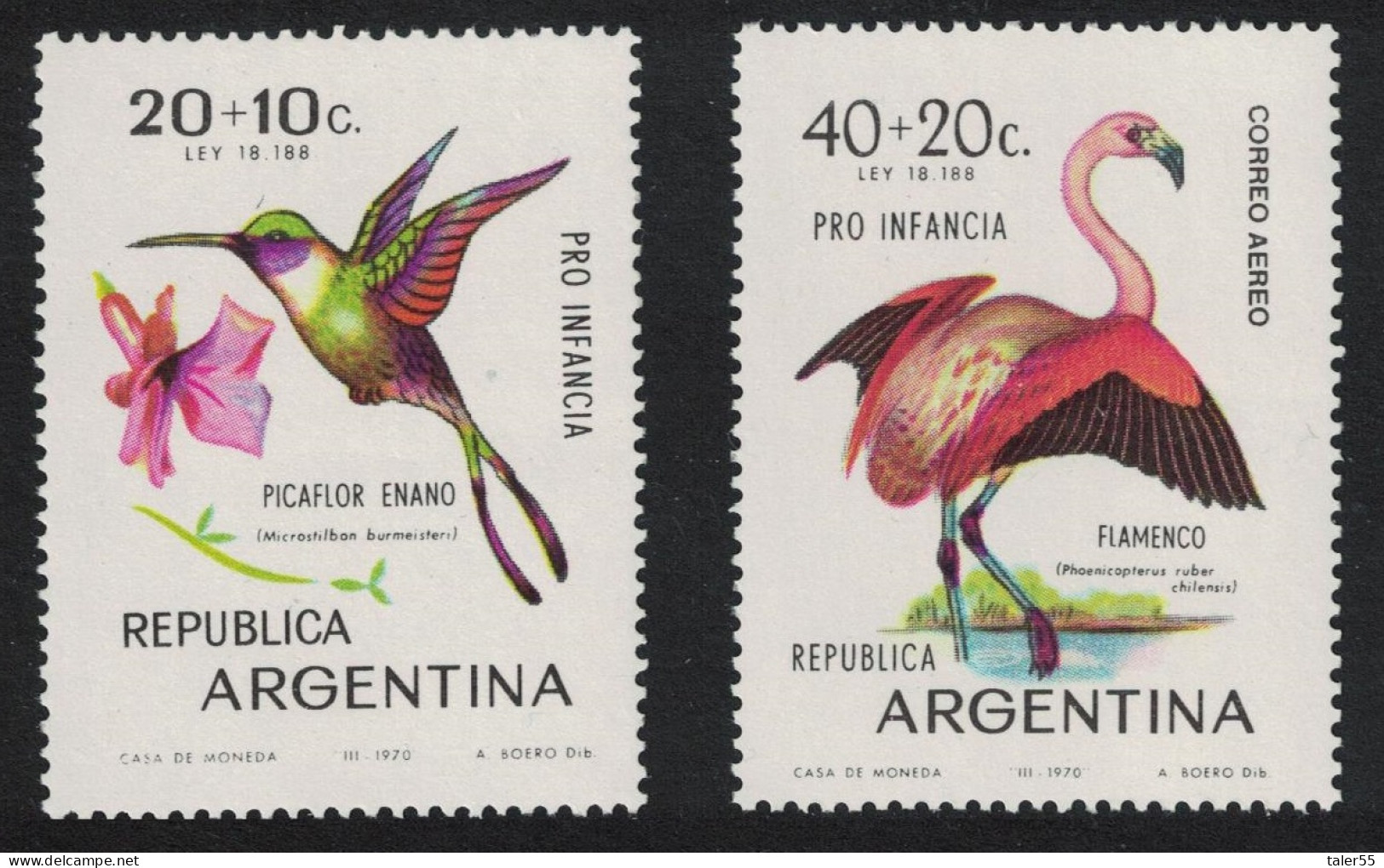 Argentina Chilean Flamingo Woodstar Birds 2v 1970 MNH SG#1293-1294 - Unused Stamps