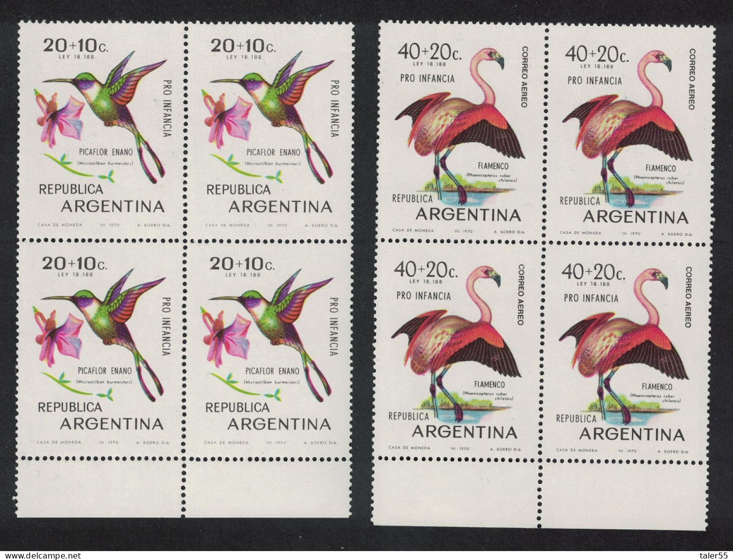 Argentina Chilean Flamingo Woodstar Birds Blocks Of 4 1970 MNH SG#1293-1294 - Nuovi