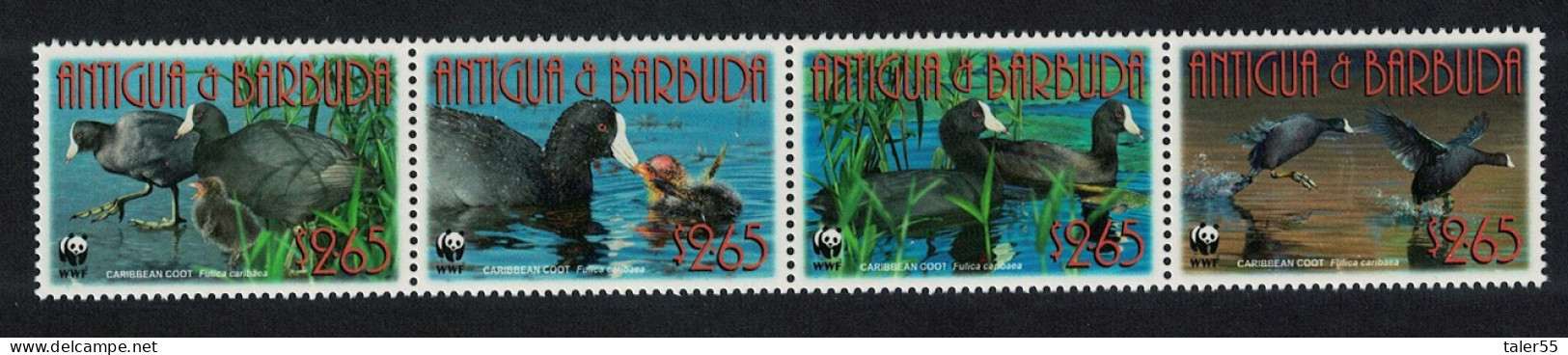Antigua And Barbuda Birds WWF Caribbean Coot Strip Of 4v 2009 MNH SG#4259-4262 MI#4702-4705 Sc#3055a-d - Antigua And Barbuda (1981-...)