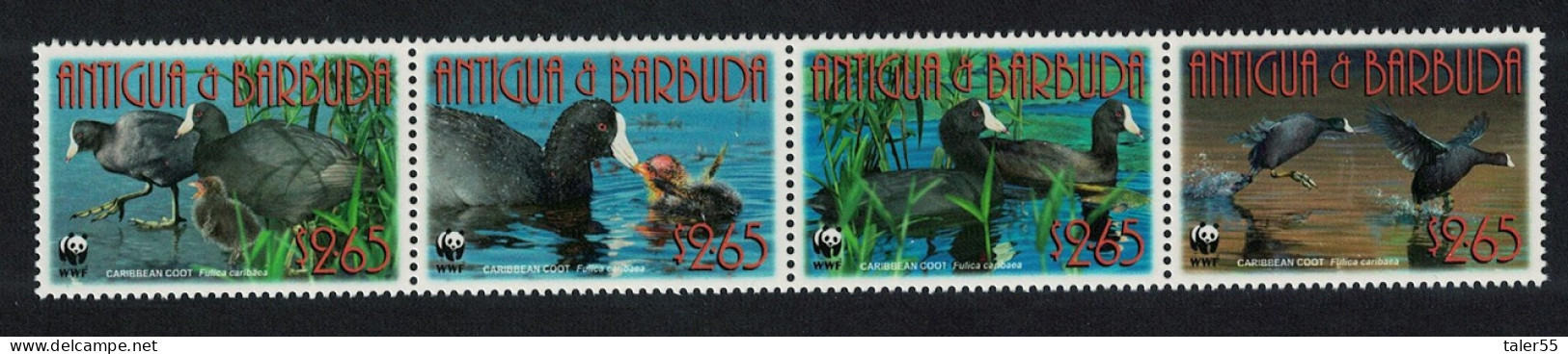 Antigua And Barbuda Birds WWF Caribbean Coot Strip Of 4v 2009 MNH SG#4259-4262 MI#4702-4705 Sc#3055a-d - Antigua Et Barbuda (1981-...)