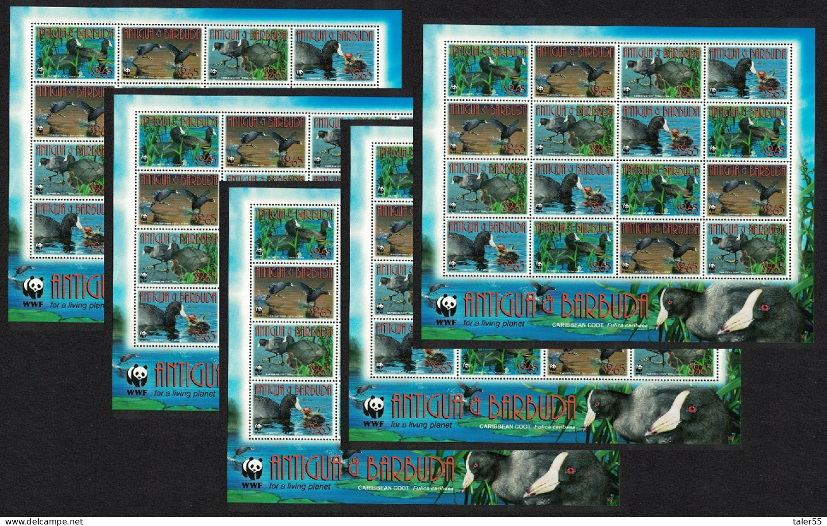 Antigua And Barbuda Birds WWF Caribbean Coot 5 Sheetlets [A] 2009 MNH SG#4259-4262 MI#4702-4705 Sc#3055a-d - Antigua Y Barbuda (1981-...)