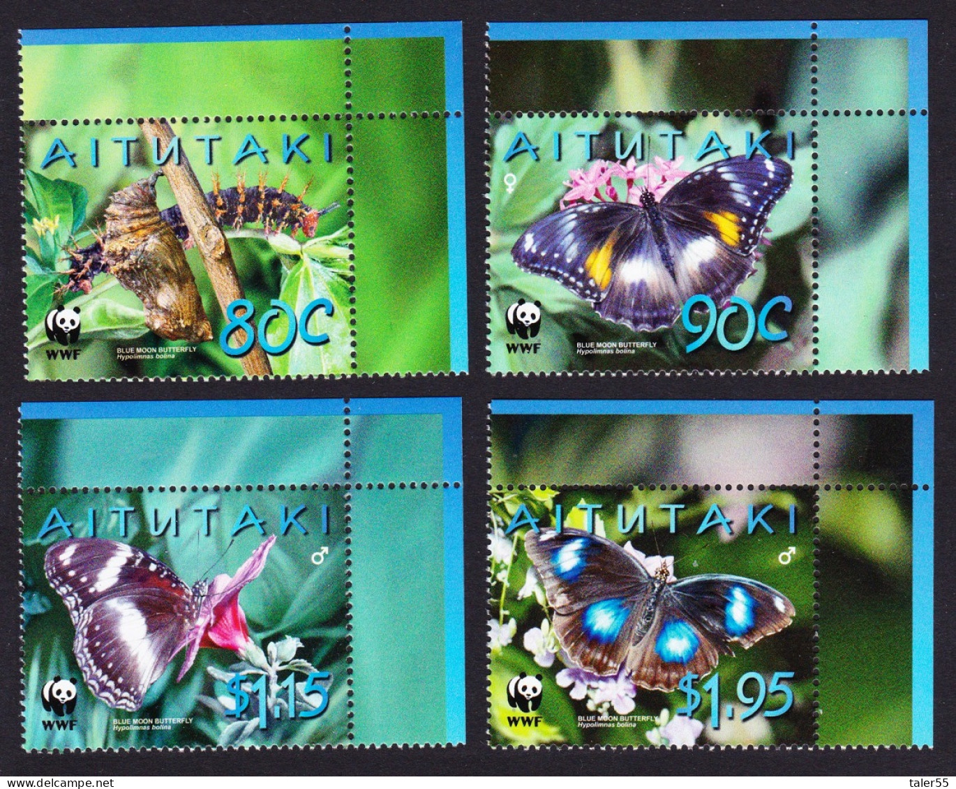 Aitutaki WWF Blue Moon Butterfly 4v Corners 2008 MNH SG#723-726 MI#778-781 Sc#539-542 - Aitutaki