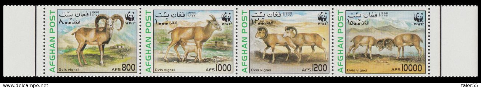 Afghanistan WWF Urial Strip Of 4v 1998 MNH MI#1819-1822 - Afganistán