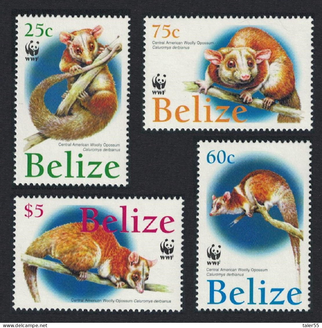 Belize WWF American Woolly Opossum 4v 2004 MNH SG#1315-1318 MI#1283-1286 Sc#1177-1180 - Belice (1973-...)