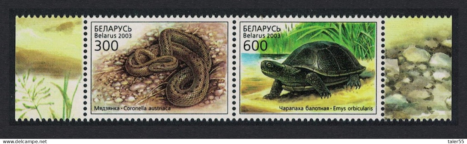 Belarus Turtle Snake Reptiles Pair T1 2003 MNH SG#538-539 MI#481-482 Sc#463a - Belarus