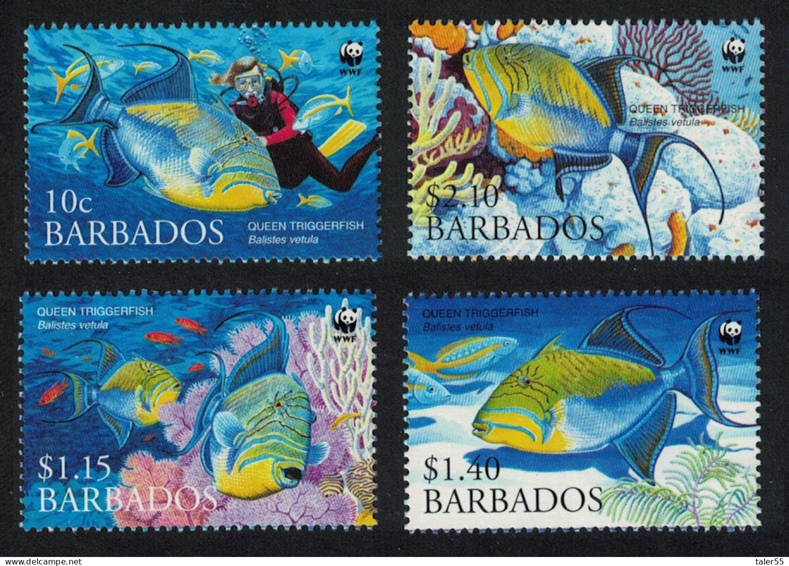 Barbados WWF Queen Triggerfish Diving Fish 4v 2006 MNH SG#1290-1293 MI#1119-1122 Sc#1102-1105 - Barbados (1966-...)