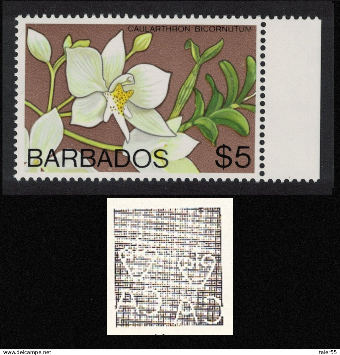 Barbados Orchid 'Caularthron Bicornutum' $5 WMK Ww14 RAR 1975 MNH SG#523 - Barbades (1966-...)