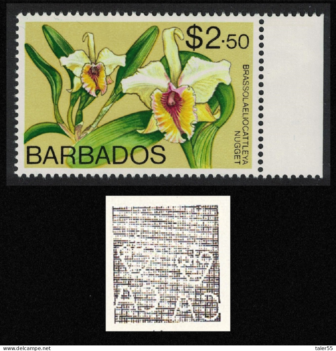 Barbados Brassolaeliocattleya 'Nugget' Orchid $2.5 WMK Ww14 RAR 1975 MNH SG#522 - Barbades (1966-...)