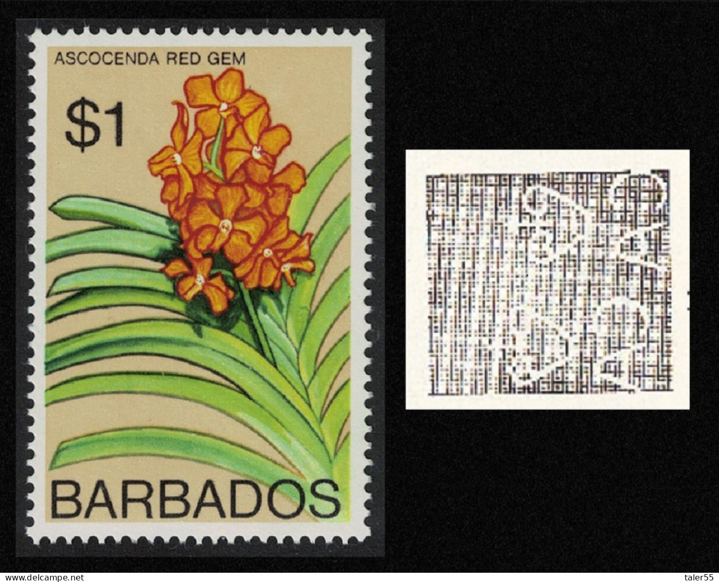 Barbados Ascocenda 'Red Gem' Orchid $1 WMK Ww14 RAR 1975 MNH SG#521 - Barbades (1966-...)