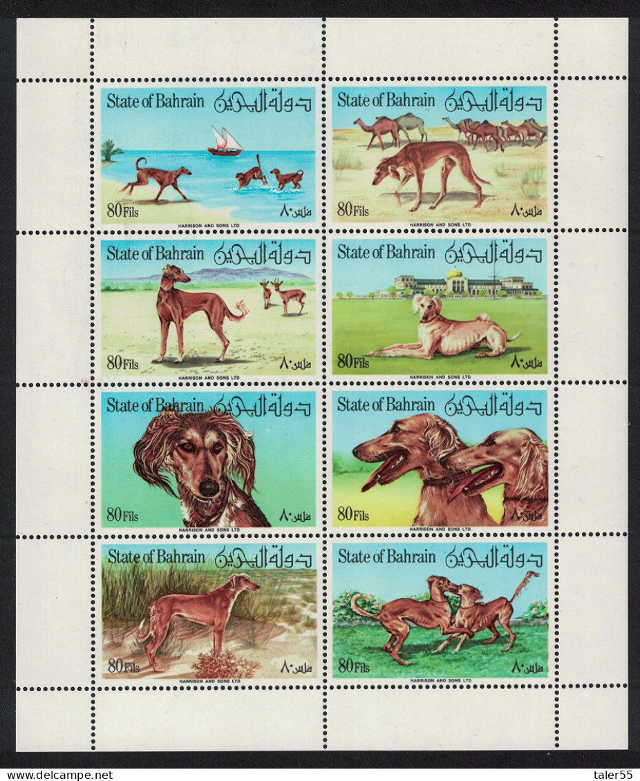 Bahrain Saluki Dogs Sheetlet Of 8v 1977 MNH SG#249a-249h - Bahrain (1965-...)