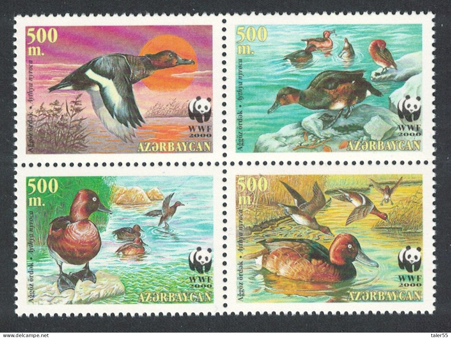 Azerbaijan Birds WWF Ferruginous Duck 4v Block Of 4 2000 MNH SG#480-483 MI#474-477 Sc#704 A-d - Azerbaïjan