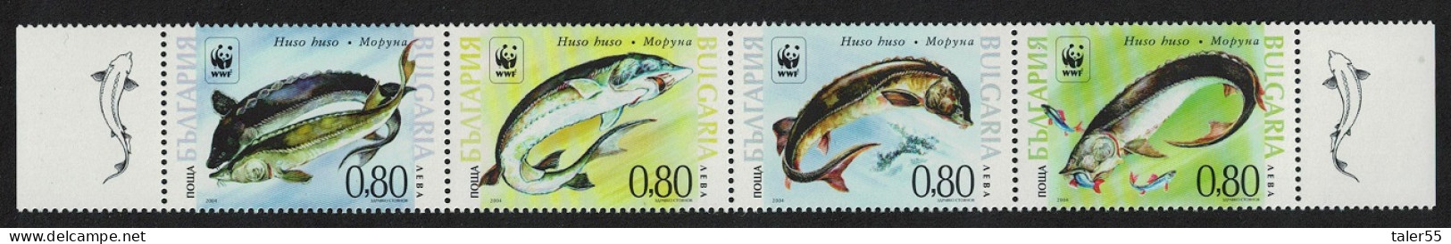 Bulgaria WWF Giant Sturgeon Strip Of 4v 2004 MNH SG#4516-4519 MI#4678-4681 Sc#4330 A-d - Unused Stamps