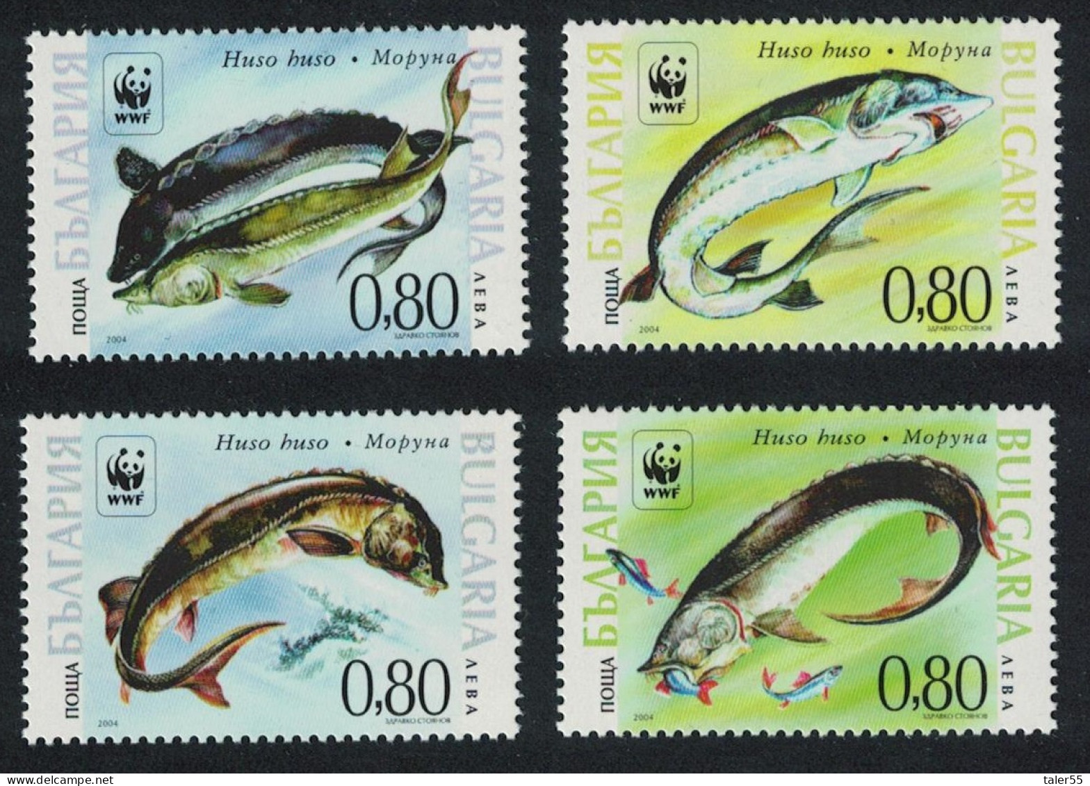 Bulgaria WWF Giant Sturgeon 4v 2004 MNH SG#4516-4519 MI#4678-4681 Sc#4330 A-d - Nuevos