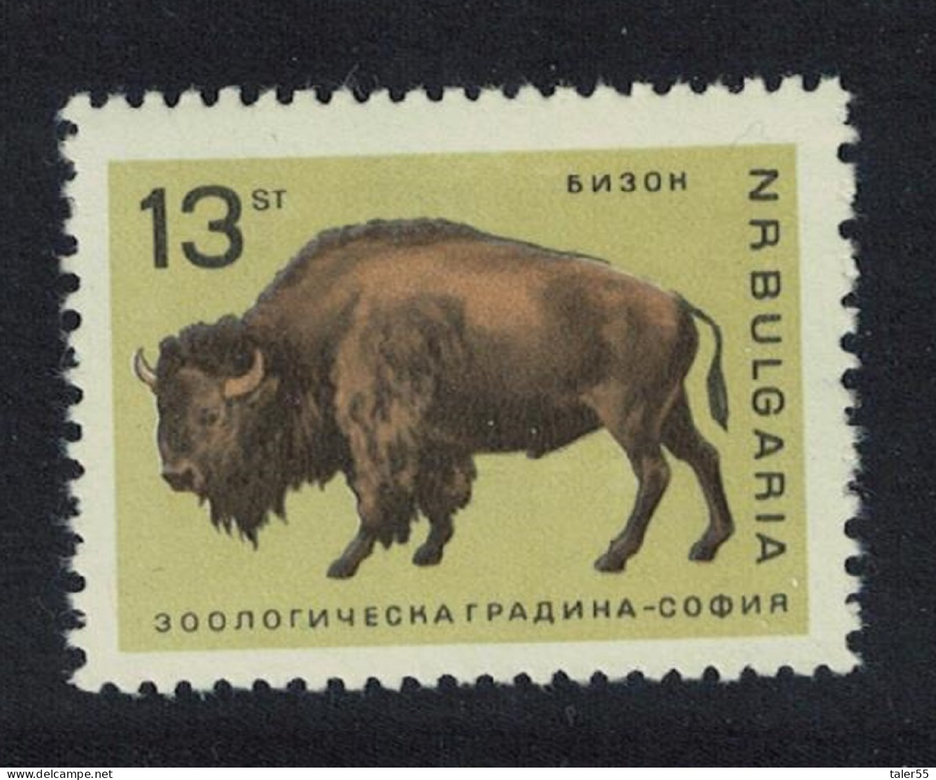 Bulgaria American Bison Sofia Zoo 13 St 1966 MNH SG#1616 - Nuevos