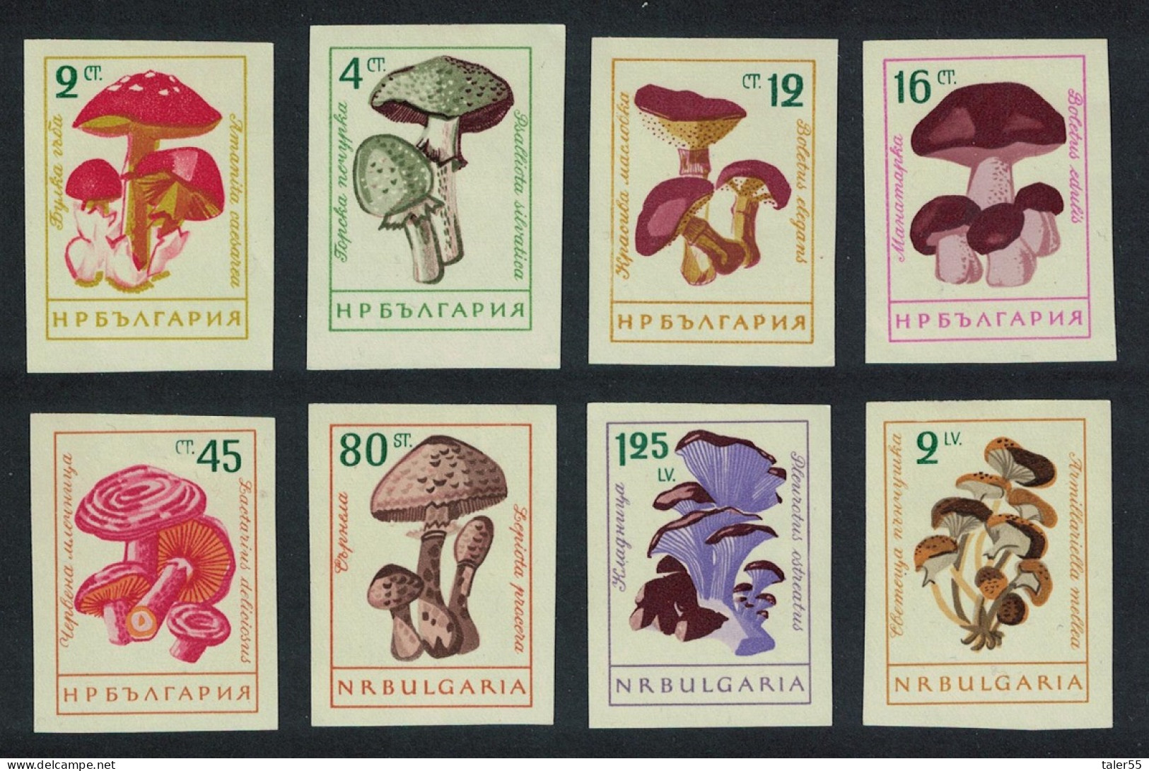 Bulgaria Fungi Mushrooms 8v Imperf 1961 MNH SG#1274-1281 MI#1271-1278 - Nuevos