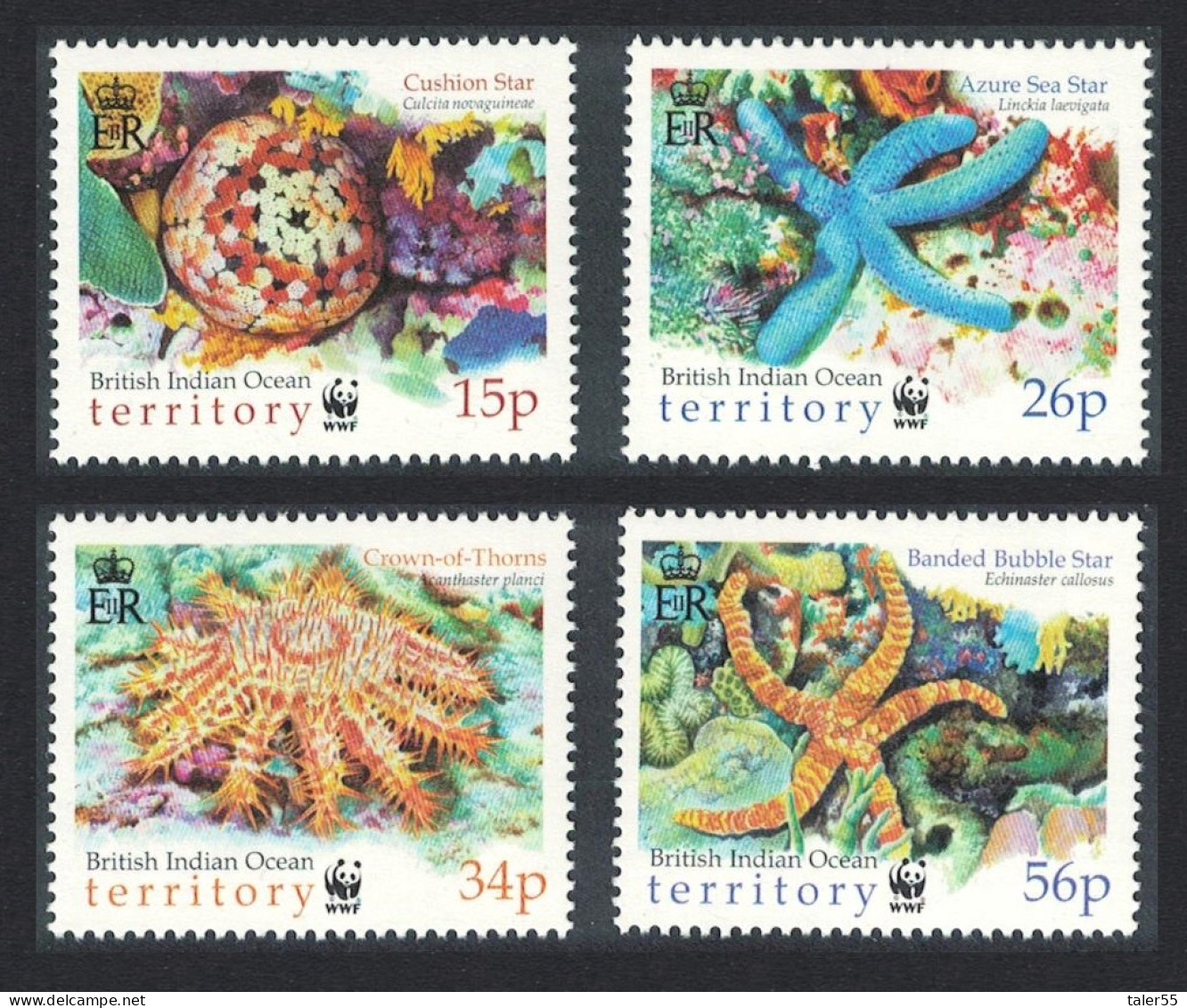 BIOT WWF Sea Stars 4v 2001 MNH SG#253-256 MI#266-269 Sc#231-234 - Territorio Británico Del Océano Índico