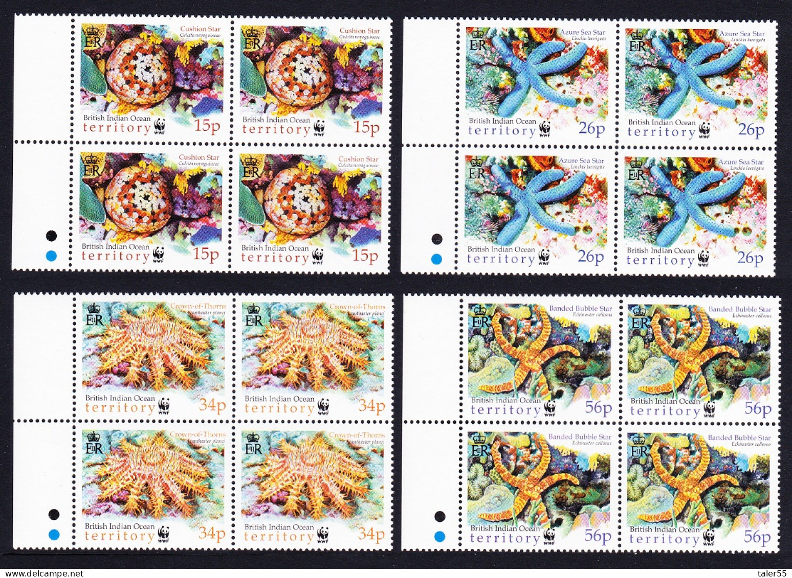 BIOT WWF Sea Stars 4v Blocks Of 4 Margin 2001 MNH SG#253-256 MI#266-269 Sc#231-234 - Territorio Británico Del Océano Índico