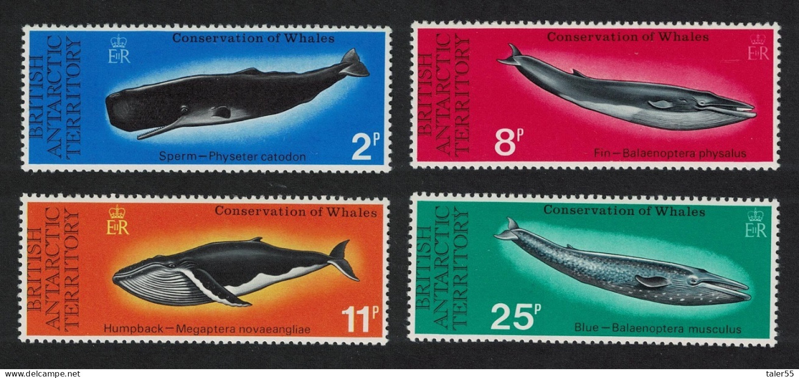 BAT Whale Conservation 4v 1977 MNH SG#79-82 - Ungebraucht