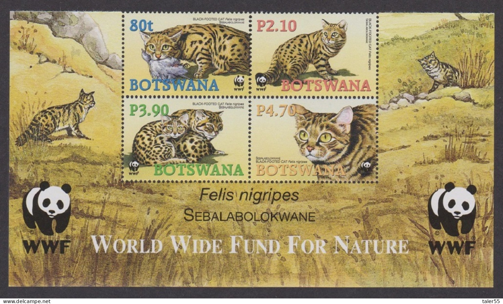 Botswana WWF Black-footed Cat 4v Block Of 4 WWF Logo 2005 MNH SG#1040-1043 MI#817-820 Sc#806-809 - Botswana (1966-...)