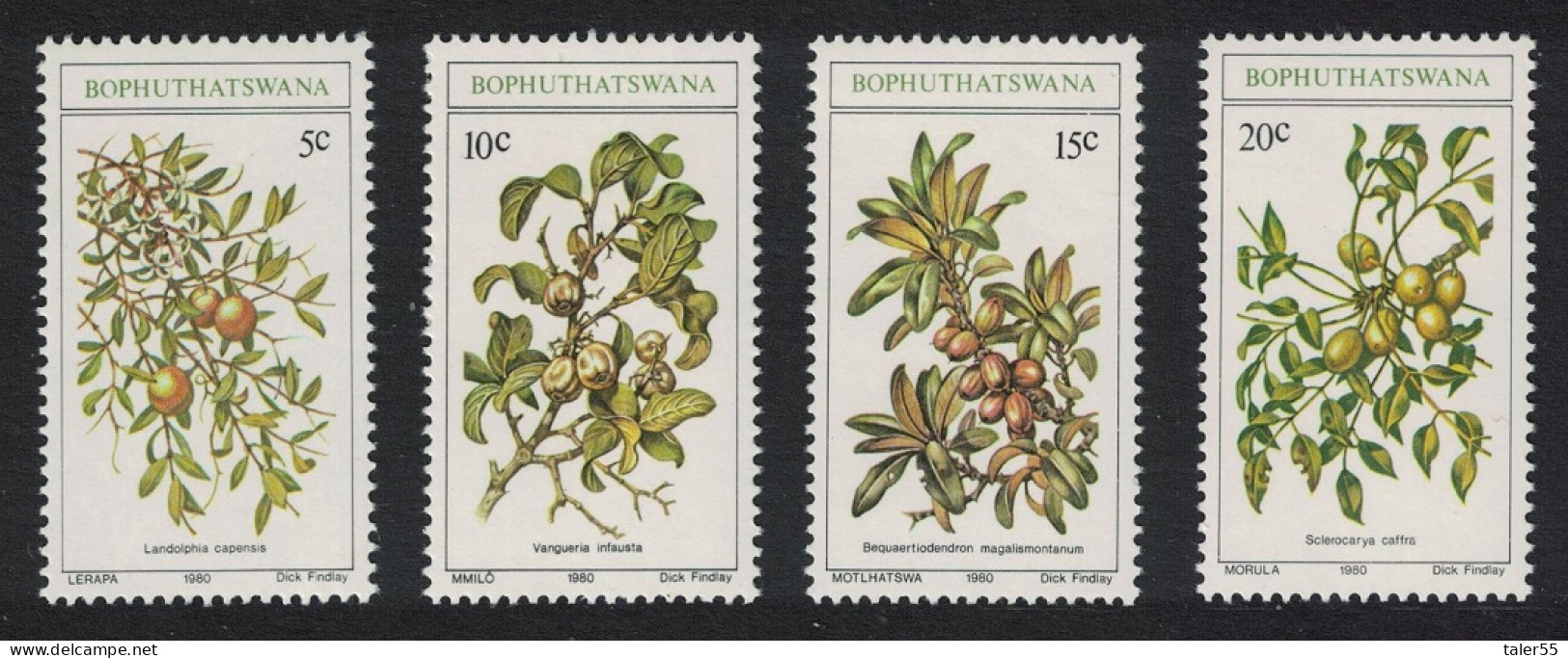 Bophuthatswana Edible Wild Fruits 4v 1980 MNH SG#56-59 Sc#56-59 - Bofutatsuana