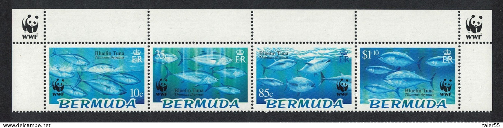 Bermuda WWF Atlantic Bluefin Tuna Top Strip Of 4v WWF Logo 2004 MNH SG#938-941 MI#877-880 Sc#884-887 - Bermudas