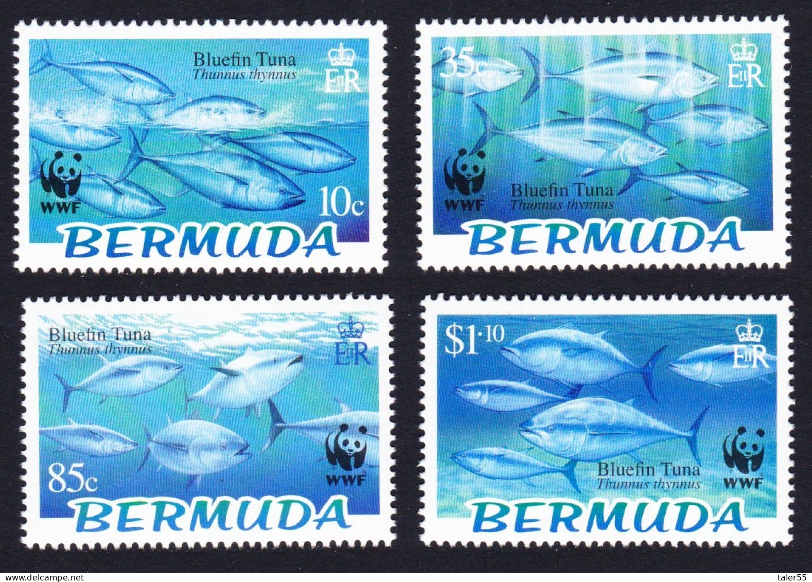 Bermuda WWF Atlantic Bluefin Tuna 4v 2004 MNH SG#938-941 MI#877-880 Sc#884-887 - Bermudes
