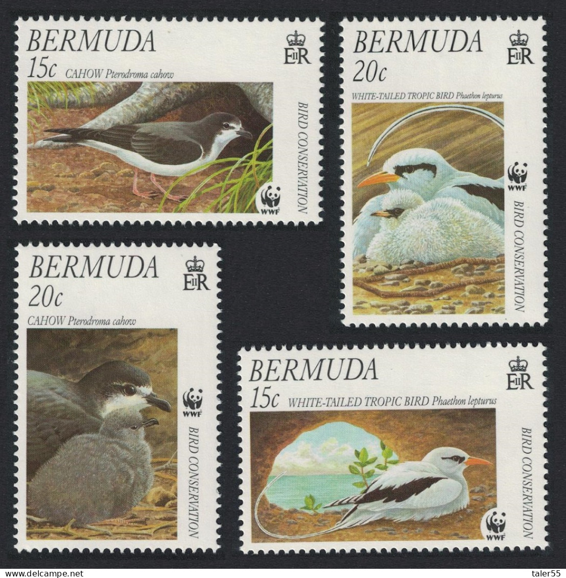 Bermuda WWF Cahow And White-tailed Tropicbird 4v 2001 MNH SG#852-855 MI#785-788 Sc#798-801 - Bermudes