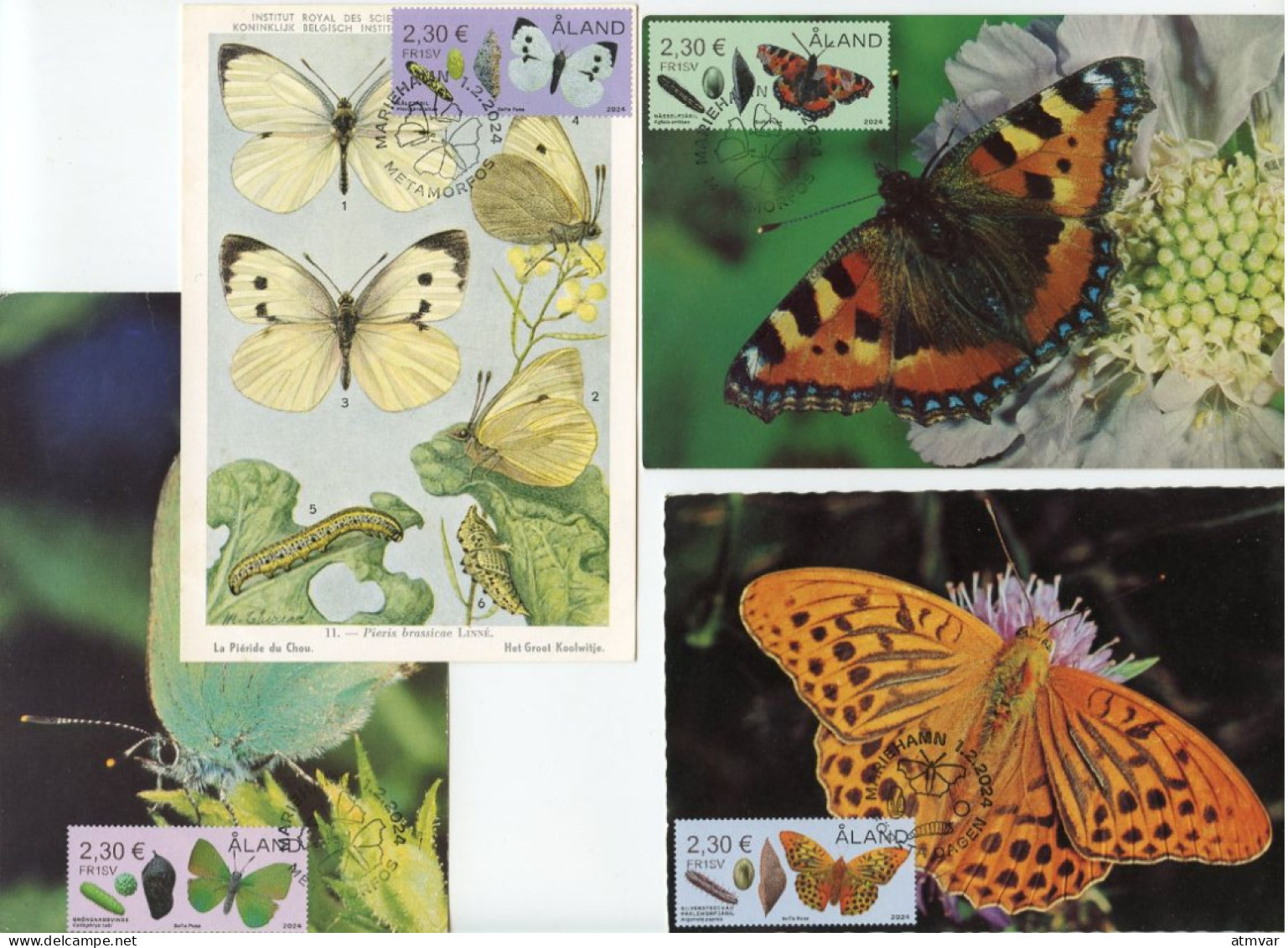 ALAND (2024) Carte S Maximum Card S - Metamorphosis, Butterflies, Butterfly, Larvae, Papillon, Mariposa - Set Of 4 - Aland