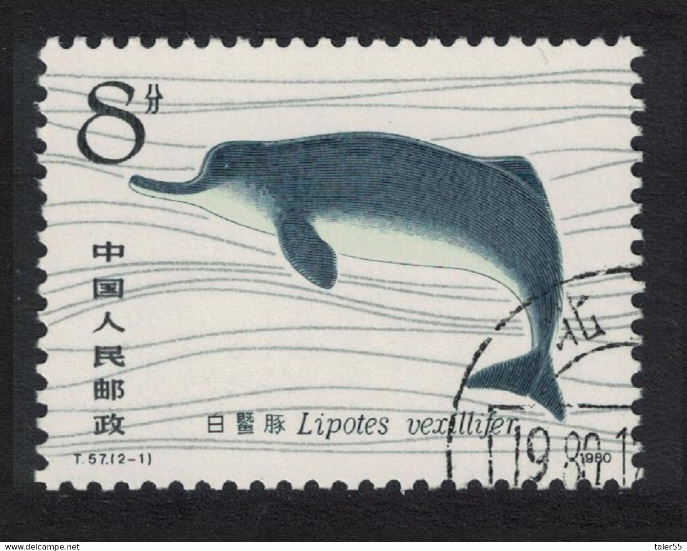 China White Flag Dolphin 8f 1980 CTO SG#3030 Sc#646 - Used Stamps