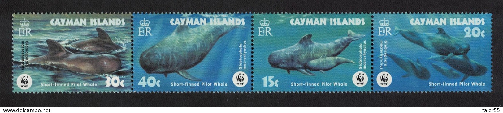 Cayman Is. WWF Short-finned Pilot Whale Strip Of 4v 2003 MNH SG#1037-1040 MI#970-973 Sc#902-905 - Cayman Islands