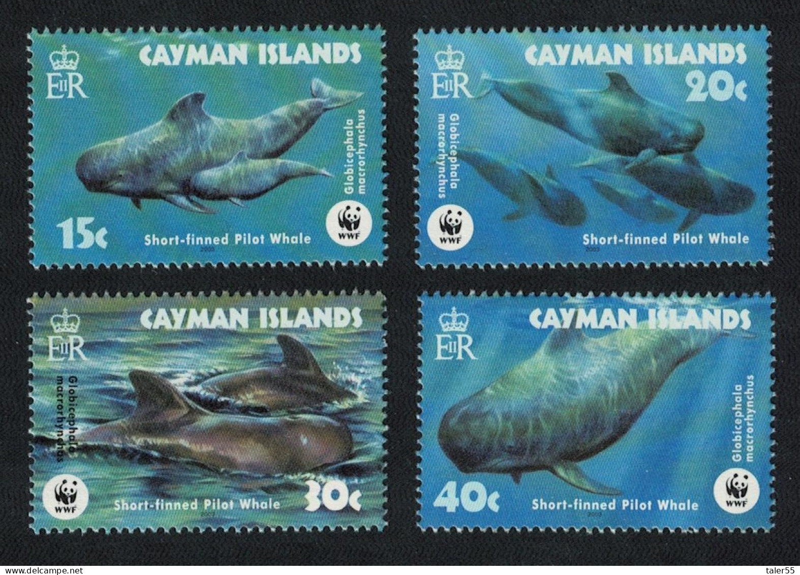 Cayman Is. WWF Short-finned Pilot Whale 4v 2003 MNH SG#1037-1040 MI#970-973 Sc#902-905 - Iles Caïmans