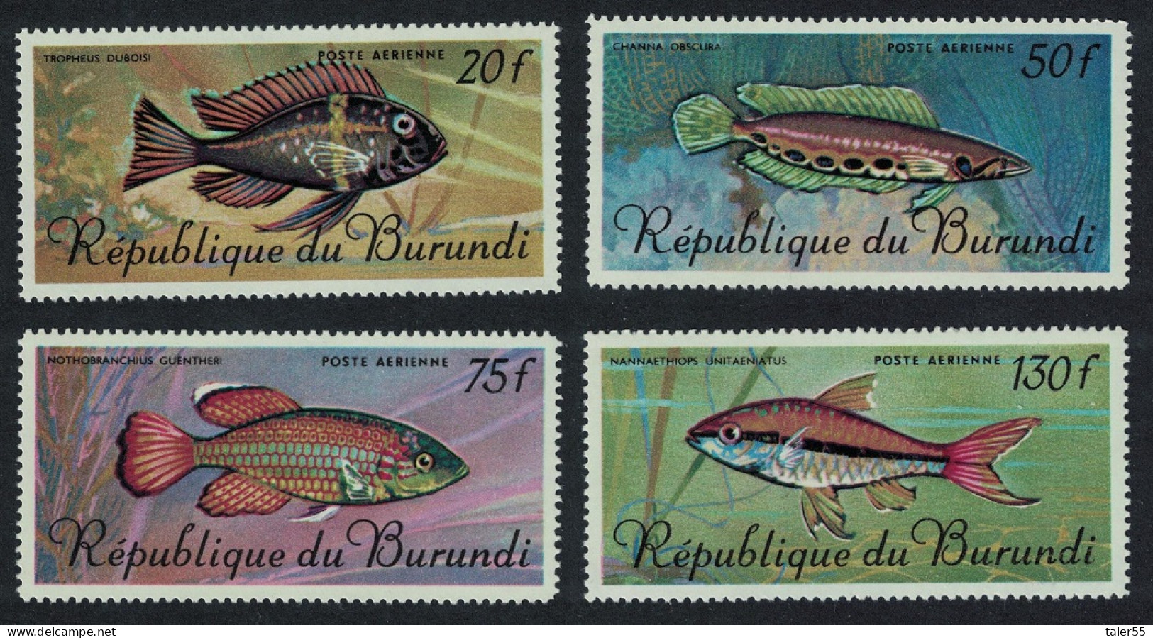 Burundi Aquarium Fish 4v Airmail Large Format 1967 MNH SG#290-293 - Nuovi