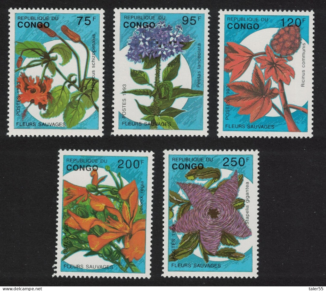 Congo Flowers 5v 1993 MNH SG#1375-1379 MI#1387-1391 - Nuevas/fijasellos