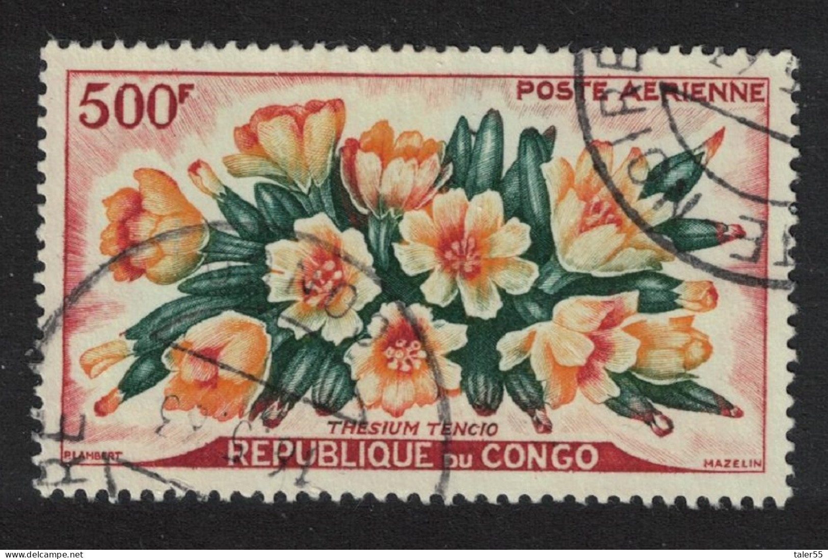 Congo Flowers 'Thesium Tencio' 1961 MNH SG#11 - Ungebraucht