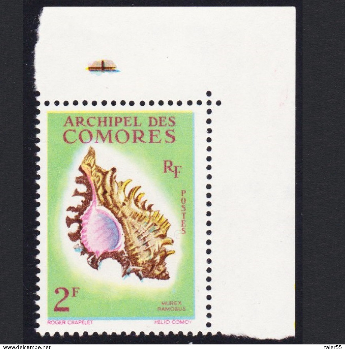 Comoro Is. Sea Shell 'Murex Ramosus' 2f Corner 1962 MNH SG#25 MI#44 Sc#50 - Andere & Zonder Classificatie