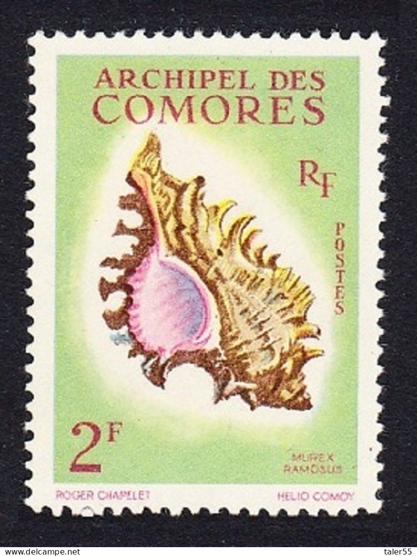 Comoro Is. Sea Shell 'Murex Ramosus' 2f 1962 MNH SG#25 MI#44 Sc#50 - Otros & Sin Clasificación
