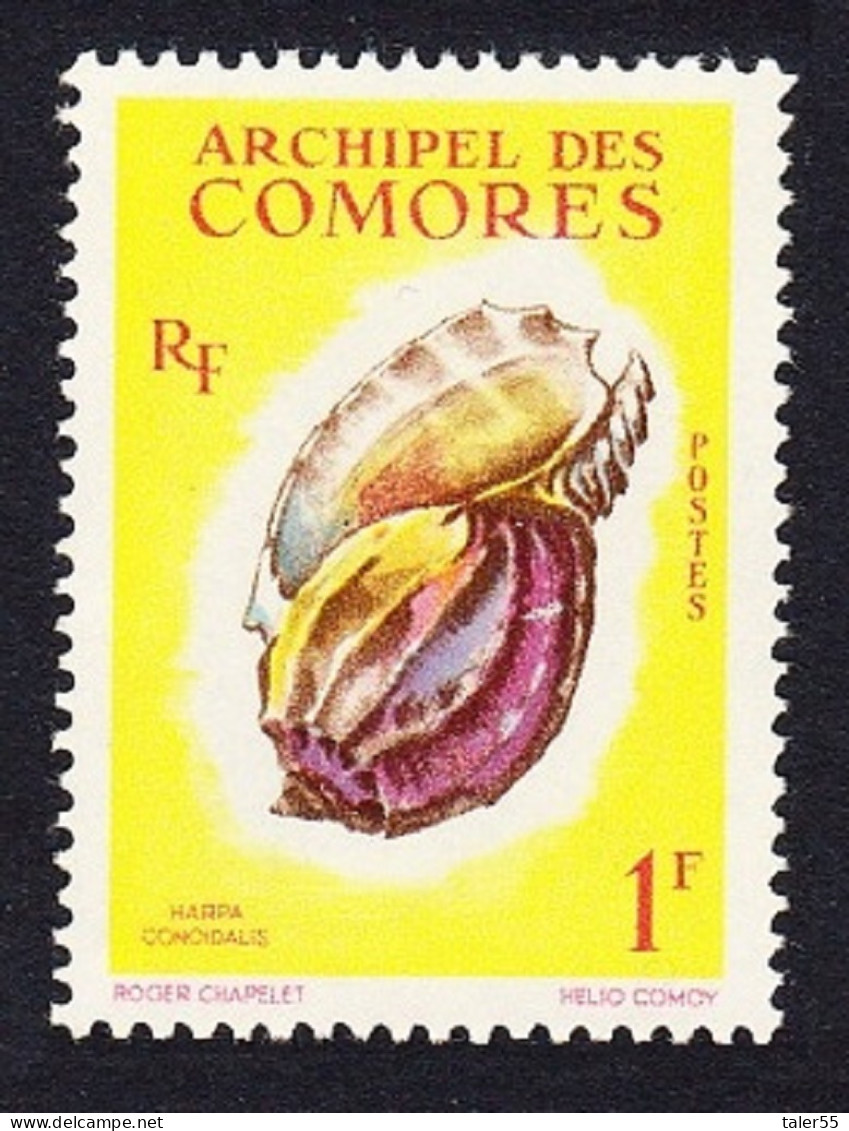 Comoro Is. Sea Shell 'Harpa Conoidalis' 1f 1962 MNH SG#24 MI#43 Sc#49 - Otros & Sin Clasificación